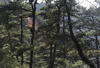 龙泉山旅游区第 50 张图片