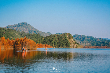 青龙湾生态旅游区第 31 张图片