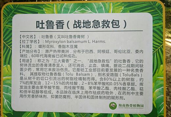 海南热带植物园第 10 张图片