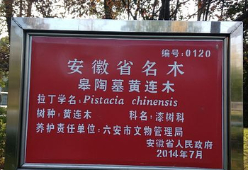 皋陶墓第 3 张图片