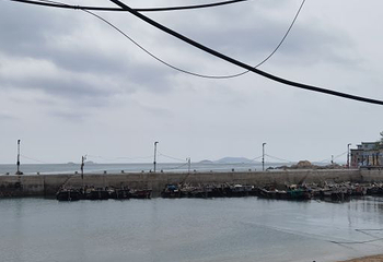 青岛出海垂钓观光休闲游第 12 张图片