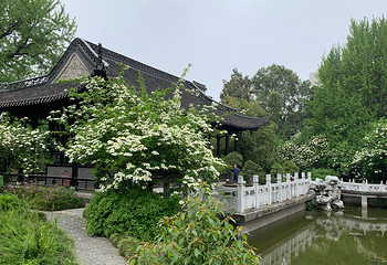 琼花观(文昌中路)第 18 张图片