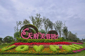 天府芙蓉园第 28 张图片