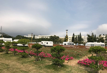 大鹏普罗旺斯花海第 17 张图片
