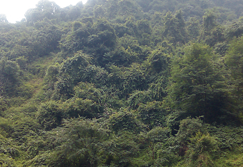北山公园第 51 张图片