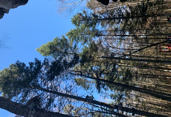 汤旺河林海奇石景区第 57 张图片