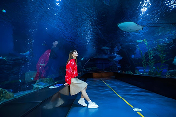 海合安天津极地海洋公园第 4 张图片