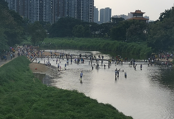 龙岗龙园第 14 张图片