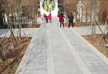 江苏睢宁白塘河湿地公园第 12 张图片