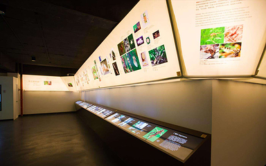 中国虫草博物馆第 8 张图片