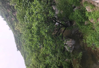 潭瀑峡(大石峪)第 10 张图片