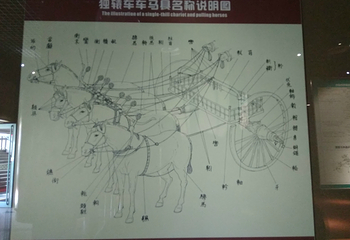 天子驾六博物馆第 30 张图片