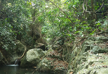 香水湾第 11 张图片