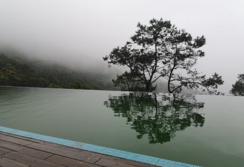 石祖禅茶园第 12 张图片