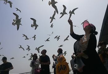 长岛海上游第 51 张图片
