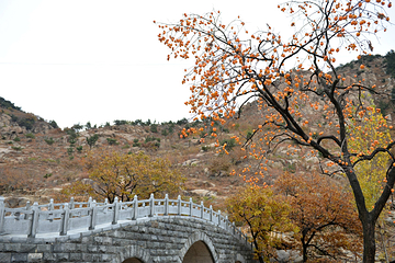 鬼谷子文化旅游区第 12 张图片