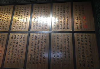 八一公园第 24 张图片
