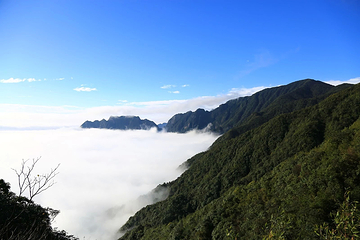 桂林猫儿山第 42 张图片