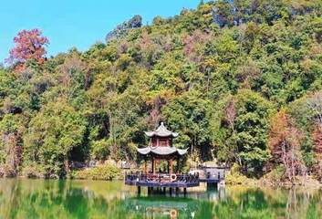 阳明山国家森林公园第 24 张图片