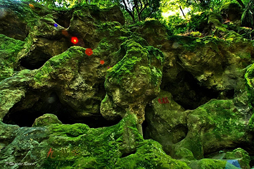西樵山风景名胜区第 11 张图片