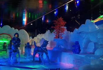 西双版纳梦幻冰雪大世界第 13 张图片