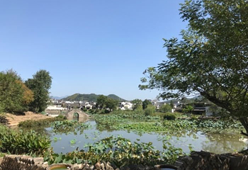 古徽州文化旅游区第 33 张图片