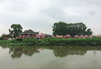 华阳湖国家湿地公园第 67 张图片