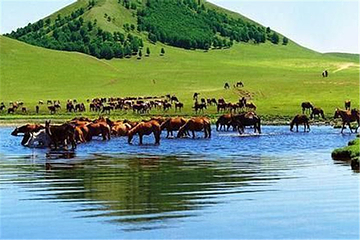 ​闪电河国家湿地公园第 12 张图片