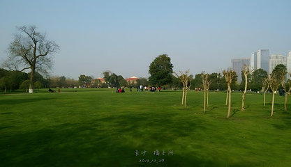 橘子洲景区第 135 张图片