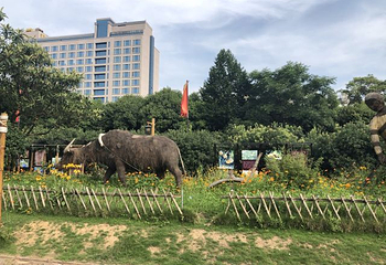 玉环漩门湾观光农业园第 8 张图片