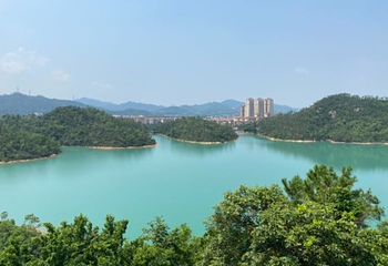 金台寺第 12 张图片