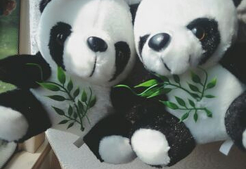 安澜桥第 7 张图片