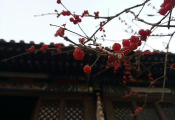 伏羲台第 6 张图片