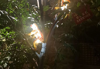 王屋山景区第 32 张图片