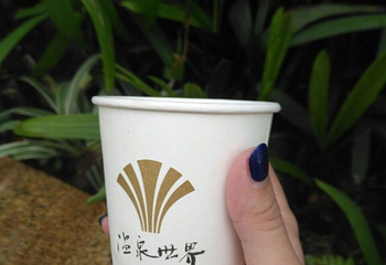 贵安温泉世界第 87 张图片