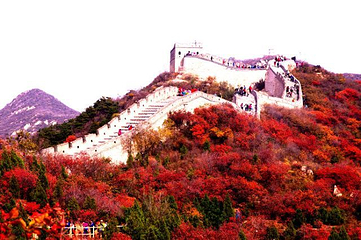 八达岭国家森林公园第 23 张图片