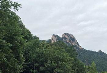 恐龙谷漂流第 13 张图片