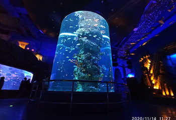 芜湖新华联大白鲸海洋公园第 55 张图片