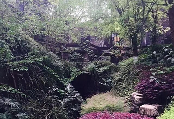 潼南大佛寺景区第 21 张图片