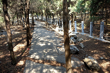 兰陵文峰山景区第 14 张图片