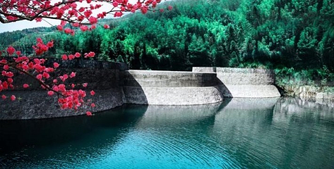 四季花谷第 11 张图片