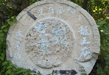 涌泉生态旅游区第 15 张图片