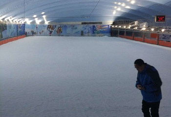 奇想探索乐园第 26 张图片
