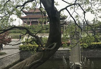 冶父山国家森林公园第 22 张图片