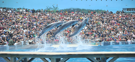 海合安天津极地海洋公园第 117 张图片