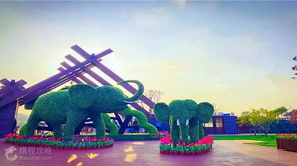 花千谷主题乐园第 3 张图片