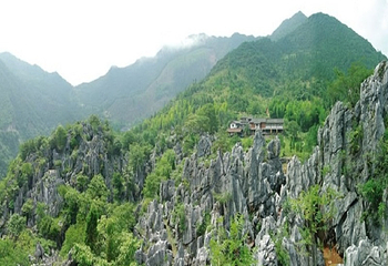 千岛湖石林景区第 26 张图片