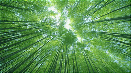 金刚台(西河)生态旅游区第 7 张图片