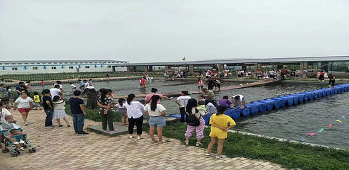 草原神画第 28 张图片