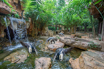 长鹿旅游休博园第 43 张图片